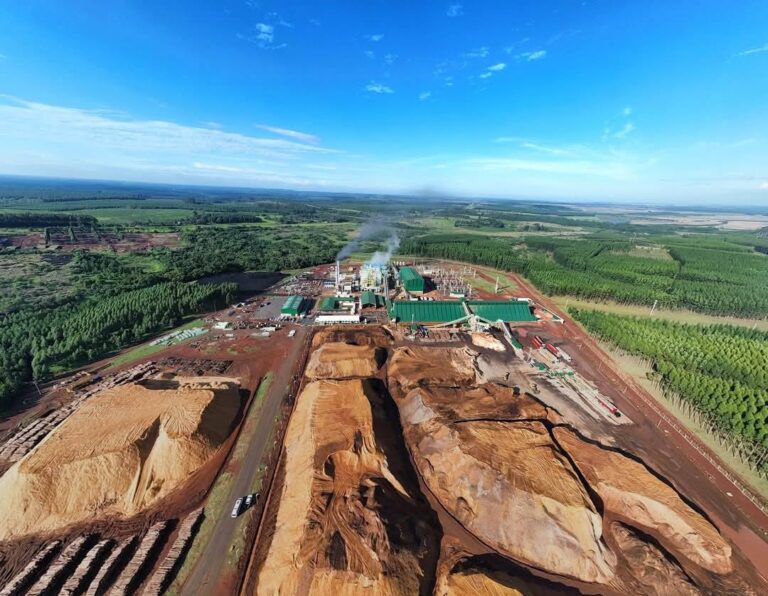 El sector forestal argentino a debate: seminario sobre energía, carbono y sistemas silvopastoriles