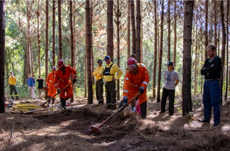 Fuego amigo, fuego enemigo: una historia ardiente de la humanidad y la naturaleza