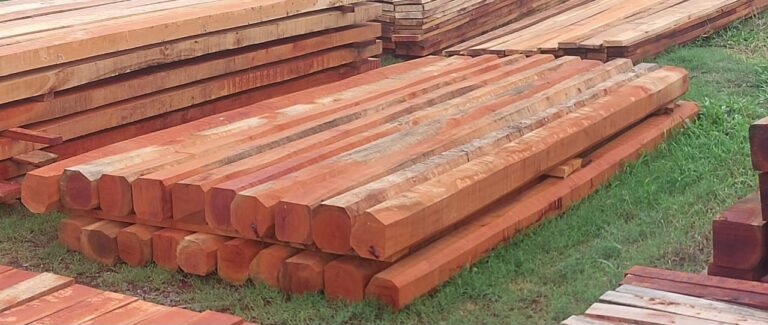 Quebracho colorado santiagueño y quebracho blanco: un camino hacia el reconocimiento normativo de la madera nativa para su uso estructural
