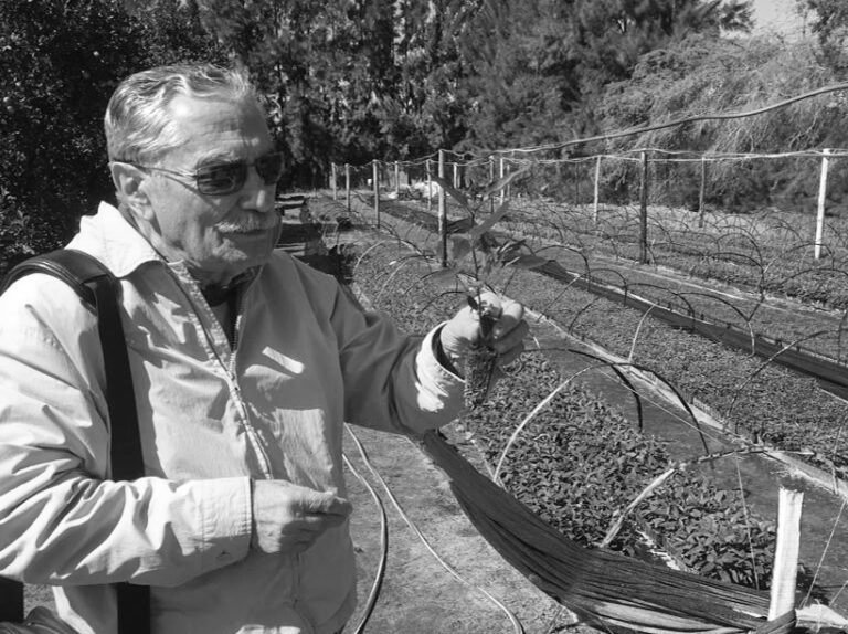 Rodolfo Stella: una vida sembrada de árboles, saberes y afectos