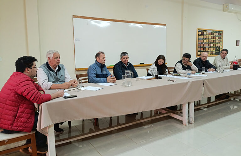 Misiones | PyMEs madereras plantean incertidumbre en el mercado exportador, estancamiento forestal y presión sindical