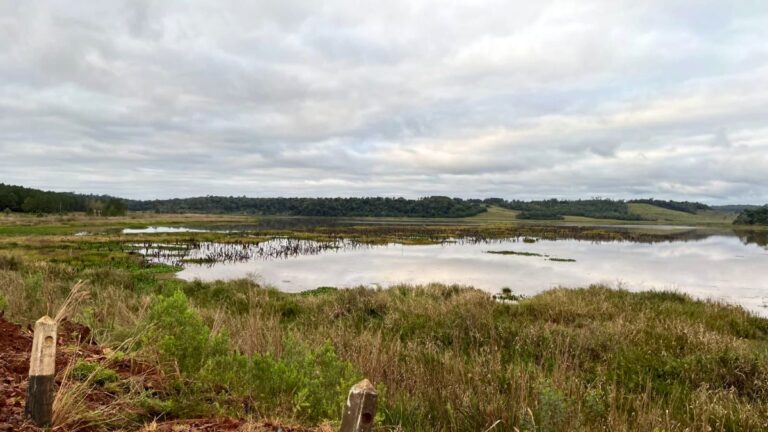 Misiones amplía su red de conservación: crean el Paisaje Protegido Arroyo Cazador en San Ignacio