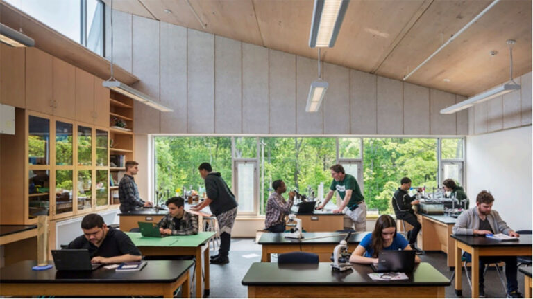 Neuroarquitectura y madera: «El futuro del bienestar se construye con diseño natural», sostienen desde CADAMDA