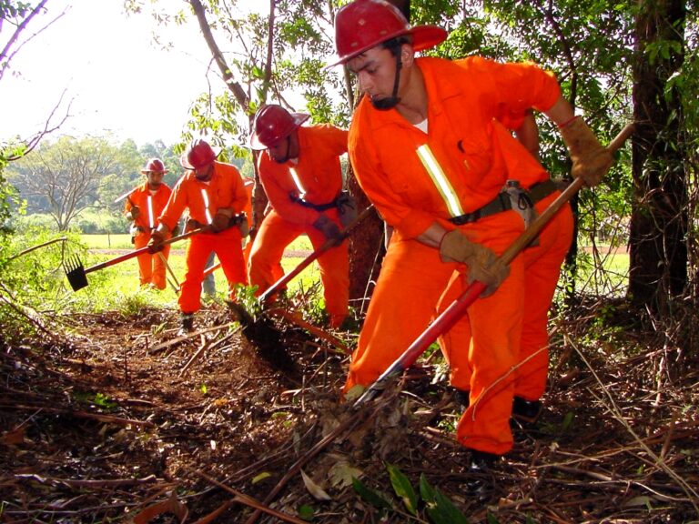 Corrientes | Brigadistas forestales demostrarán su preparación en las 3° Jornadas del Consorcio de Manejo del Fuego en Virasoro