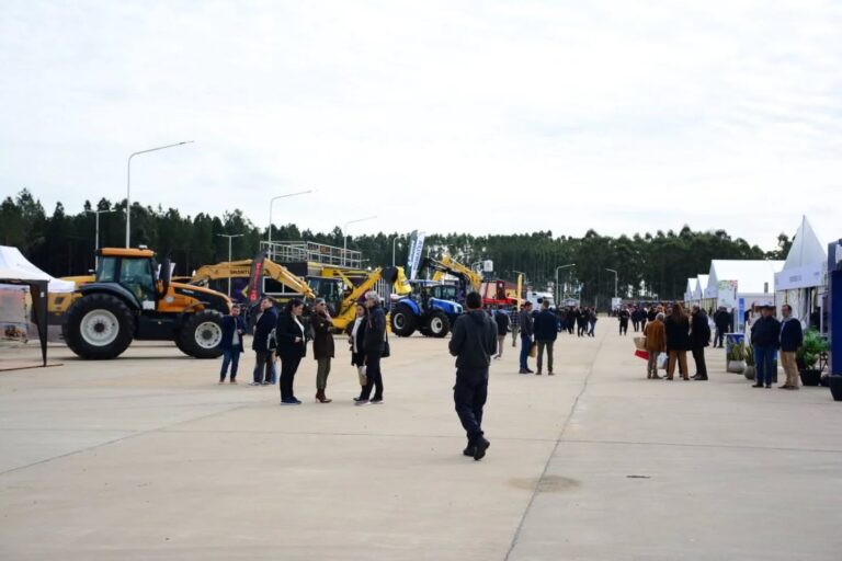 Corrientes | Comenzó la 1ª Expo Foresto-Industrial en Ituzaingó con fuerte impulso al desarrollo productivo regional