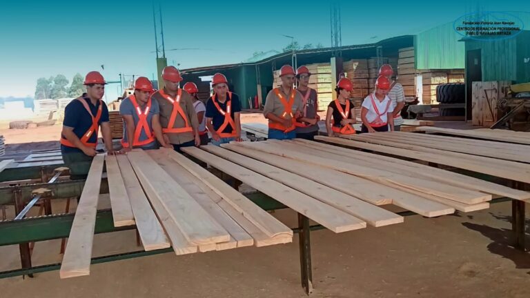 Argentina, rezagada en el desarrollo foresto-industrial: el Consejo Profesional de Ingeniería Agronómica reflexiona sobre un modelo que no despegó