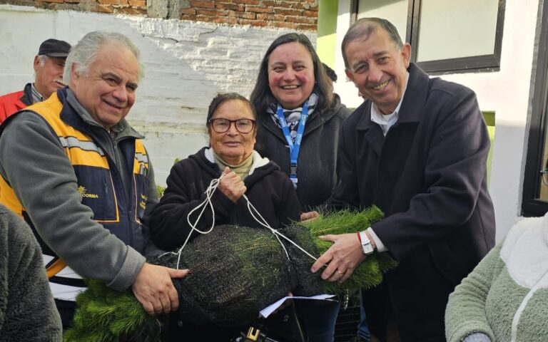 Chile | Impulsan en Maule la reforestación con entrega de más de 150 mil plantas en la región