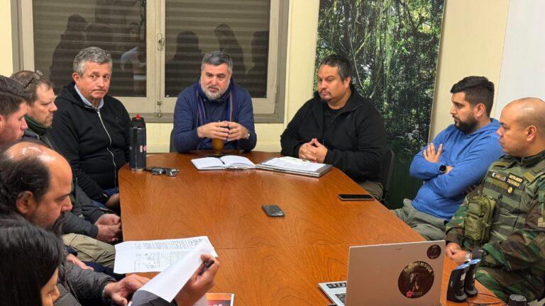 Misiones | Analizan nueva normativa para regular la comercialización de aves silvestres