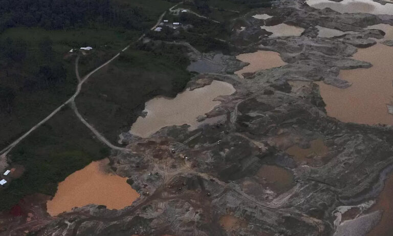 Ecuador | Fuerte rechazo a la fusión del Ministerio del Ambiente con Energía y Minas: ONG alertan sobre retroceso institucional y riesgo ambiental