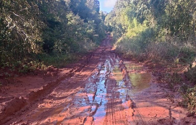 Niños indígenas sin clases por caminos intransitables en Colonia Mado : grave situación en la comunidad Mbya Takuapi Mirĩ