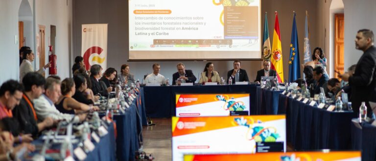 Transparencia sin fronteras: países de América Latina y el Caribe avanzan con FAO hacia sistemas de datos forestales más confiables y abiertos