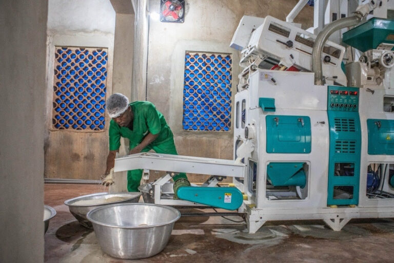 Desarrollo rural | Advierten lentos avances y llaman a priorizar financiamiento a pequeños productores para transformar los sistemas alimentarios globales