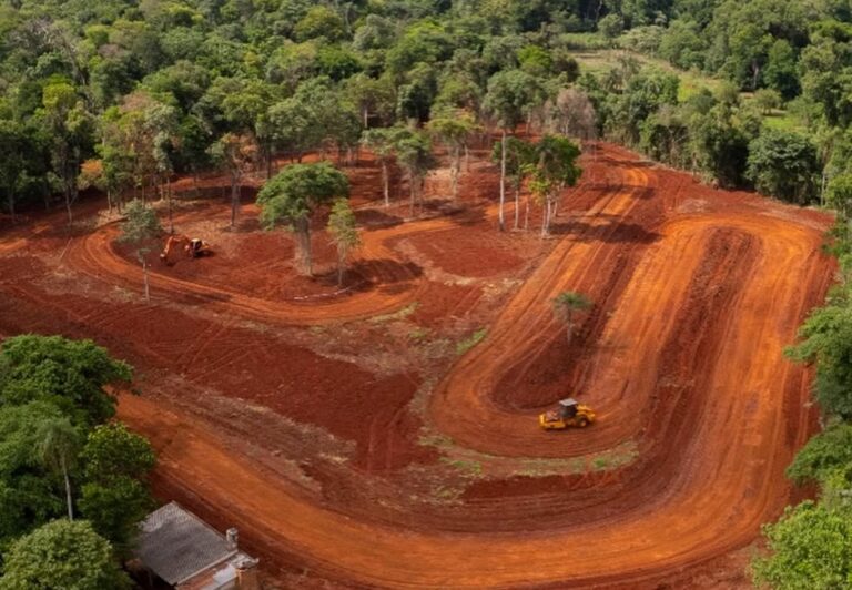 Greenpeace pide no habilitar el kartódromo en Iguazú por infringir legislación y exige la restauración de la Selva Misionera