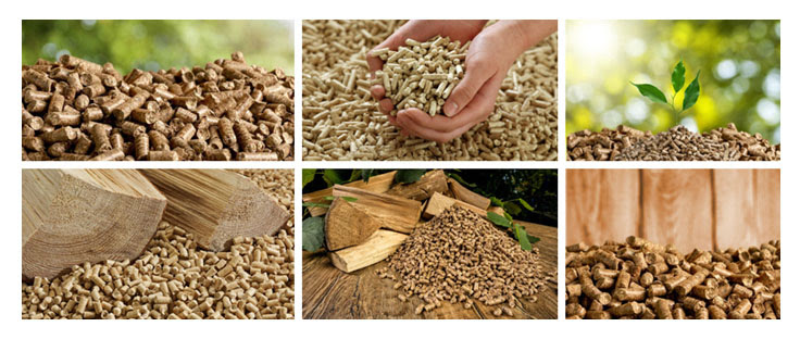 Competitividad industrial | Argentina tiene oportunidades en el sector forestal de desarrollar el mercado de pellets de madera