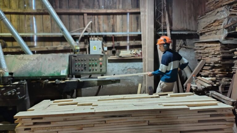 Crisis de la madera | PyMEs piden al Gobierno Nacional cuatro medidas urgentes para recuperar rentabilidad y sostener empleos 