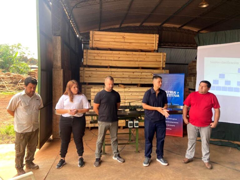 Más valor a la madera: Misiones fortalece la foresto-industria con formación, diseño y tecnología