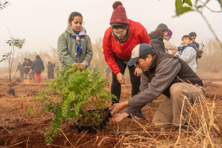Restauracion en reserva urbana | Mil árboles, mil razones para creer en una comunidad que se une para restaurar el Monte Seguín