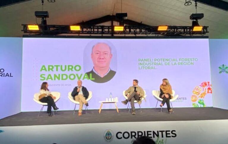 Infraestructura, logística y desafíos: la visión empresarial para impulsar la foresto-industria en Corrientes
