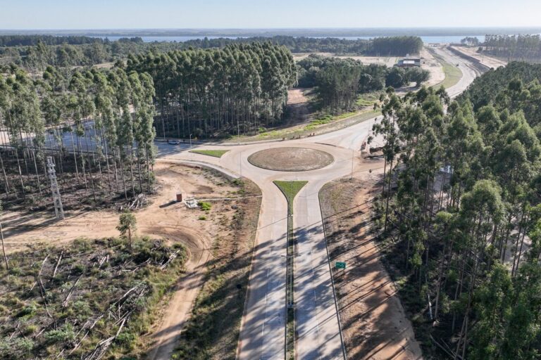 Corrientes en las «grandes ligas» forestales: el impacto en la región de la inversión de ARPULP bajo la mirada de expertos