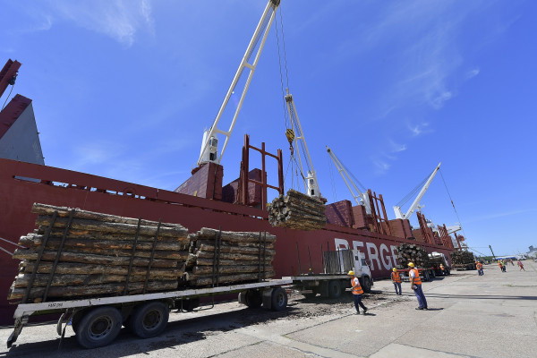 Entre Ríos | Desde los puertos de Concepción del Uruguay e Ibicuy movilizan más de 36 mil toneladas de madera para exportación a India