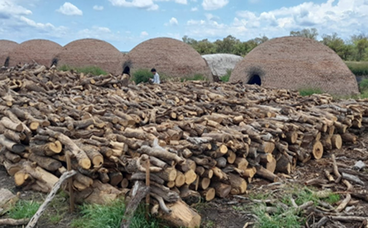 El carbón vegetal en la Región Chaqueña: una posible reconfiguración de la cadena productiva tras el fin del RECAR