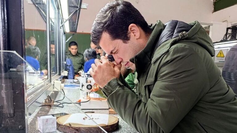 Misiones | Capacitan a personal de fuerzas de control para identificar maderas y combatir la tala ilegal