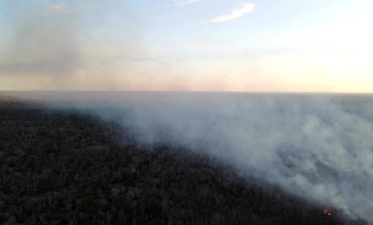Sudamérica enfrentará otra crítica temporada de riesgo de incendios forestales: el aprendizaje en Bolivia y el alerta roja de Global Forest Watch