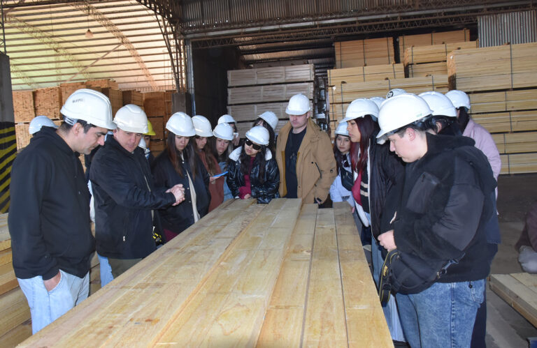 Arquitectos del futuro | Más de 40 alumnos de la Universidad Nacional de La Matanza realizaron dinámicas e intercambios académicos en construcción con madera en Misiones