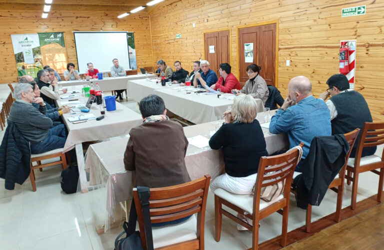 Misiones | Las PyMEs madereras analizan con organismos del Estado una agenda de emergencia ante la crisis del sector