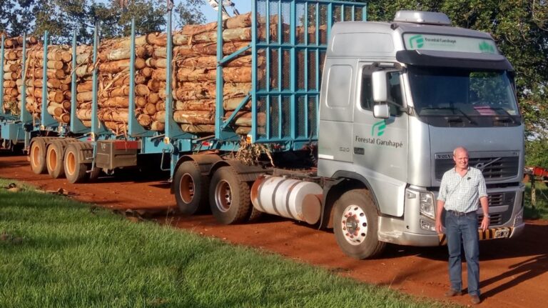 «La libre circulación de bitrenes era un reclamo histórico y es un paso más hacia la competitividad de la industria forestal», afirman desde la regional de AFoA de Corrientes y Misiones