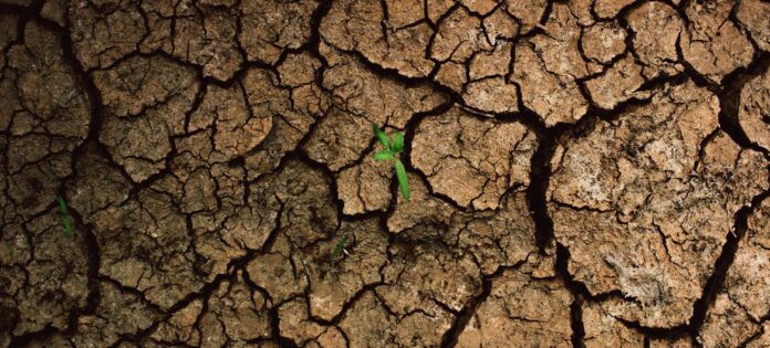 Crisis climatica
