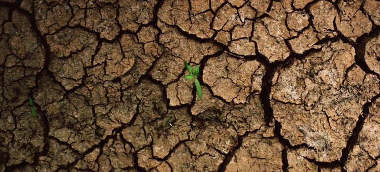 La crisis climática empujará a la pobreza a casi seis millones de niños y jóvenes en América Latina, según informe de la CEPAL y UNICEF