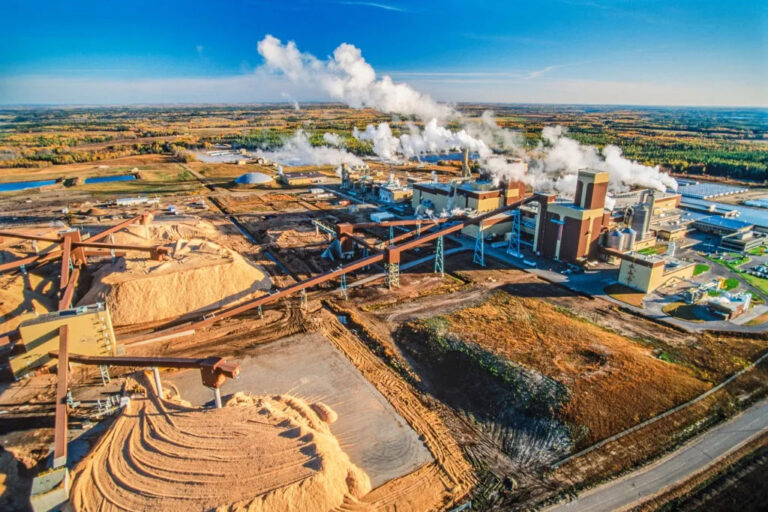 Sostenibilidad | Microsoft adquiere 3.7 millones de toneladas de créditos de carbono de la industria de pulpa y papel de EE. UU.