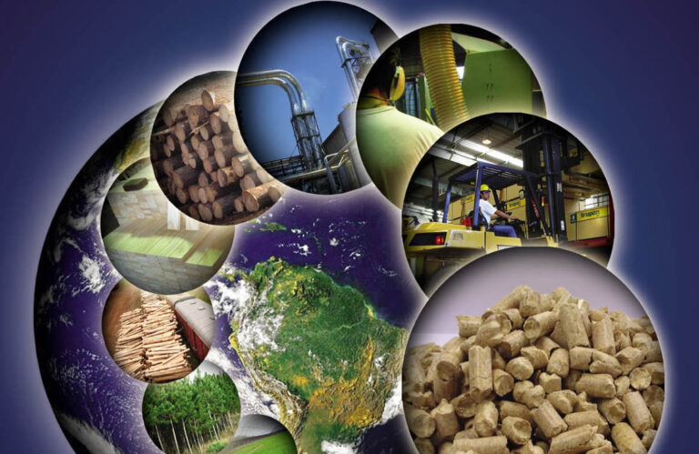 Con 3,5 millones de hectáreas disponibles para expandirse en forestación, Argentina tiene potencial para mejorar su competitividad y diversificar su producción