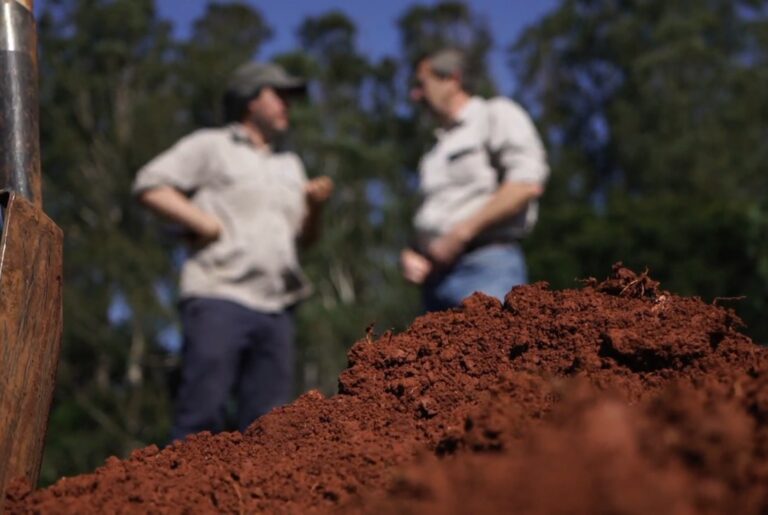 SisINTA: el mapa digital que transforma el conocimiento de los suelos en una herramienta digital para la producción