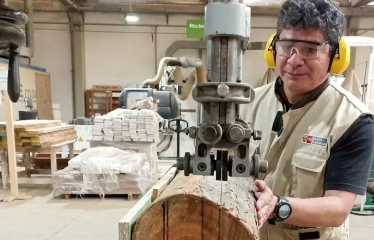 La gestión forestal sostenible, clave para la innovación y la bioeconomía en los bosques nativos