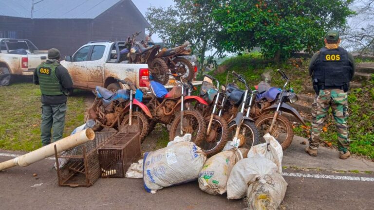 Reserva Yabotí | Guardaparques desmantelan campamentos furtivos, secuestran armas y motocicletas, y capturan cazadores brasileños