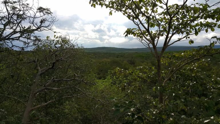 Paraguay | Desaparece guía turistico argentino en áreas del Parque Nacional Defensores del Chaco y Cerro León y se despliega operativo de búsqueda