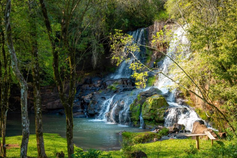 De la selva misionera a los bosques andinos: un recorrido por las cascadas de pueblos distinguidos por la ONU