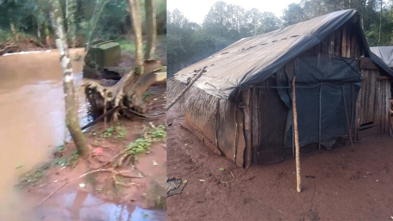 Misiones | La comunidad Mbya Yvy Porã sobrevive en carpas precarias, sin acceso al agua potable y reclama más asistencia sanitaria en Colonia Mado