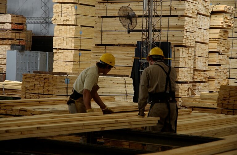 Mercado de la madera: presión sobre precios, rentabilidad en mínimos y señales de reestructuración hacia el cierre de 2025