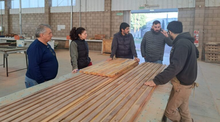 Chaco | El CEDETEMA avanza en ensayos de tableros en convenio con la UNSE