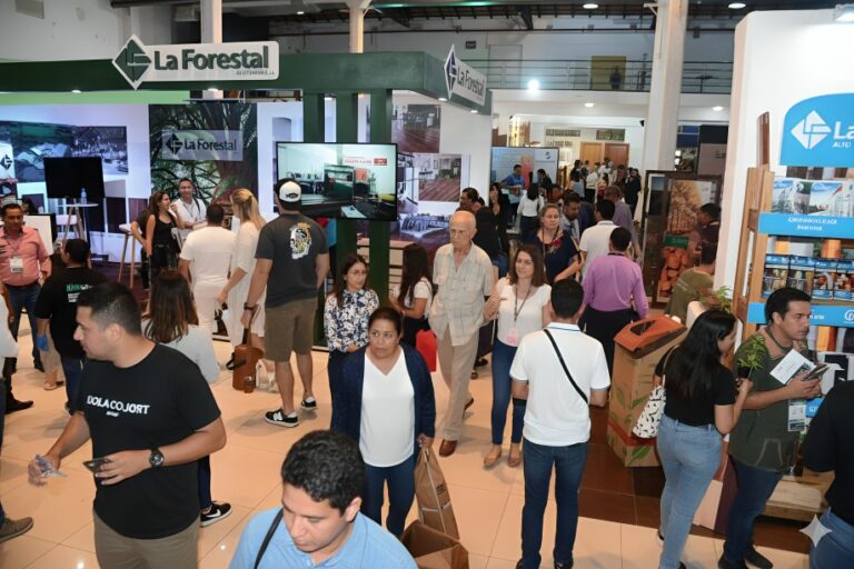Paraguay | Expo Madera 2025 abre sus puertas con el foco en la sostenibilidad y el potencial del sector forestal