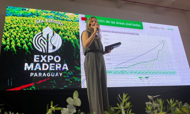 Paraguay | Información y estadística forestal, certificación y políticas de Estado fomentan un mejor clima de negocio para atraer nuevas inversiones