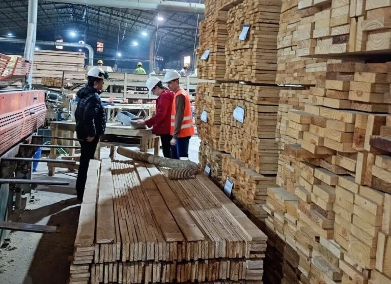Misiones | Cinco empresas forestales bajo el grupo APICOFOM Sustentable validan su certificación PEFC de cadena de custodia