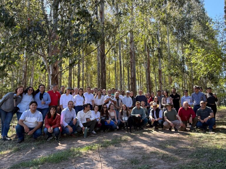 El 1° Simposio Forestal de Santa Fe centró el debate sobre bosques, plantaciones y el carbono como atributo de competitividad para la producción
