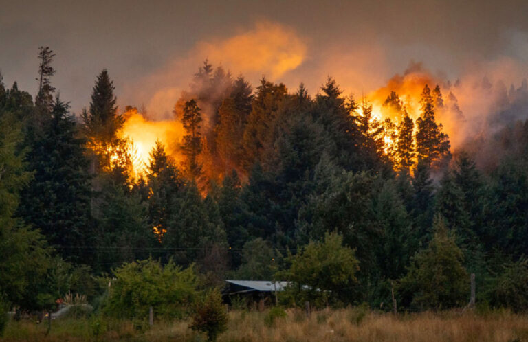 Más de 10.000 incendios rurales por año: el CPIA advierte que la Argentina necesita una política permanente de prevención