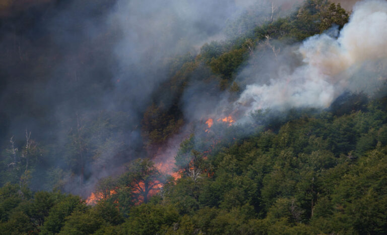 Patagonia en alerta: advierten a los gobernadores de Neuquén, Río Negro y Chubut sobre un próximo verano crítico por incendios forestales