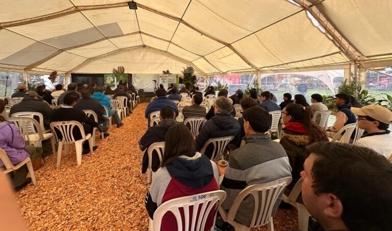 2da Jornada Forestal en la Expo Rural 2025: AFoA Corrientes y la Sociedad Rural Virasoro impulsan la sinergia entre la forestación y la ganadería