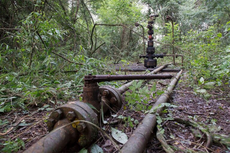 La Corte Suprema frena la explotación petrolera en PN Calilegua: vecinos desde el territorio cuestionan el rol de Greenpeace